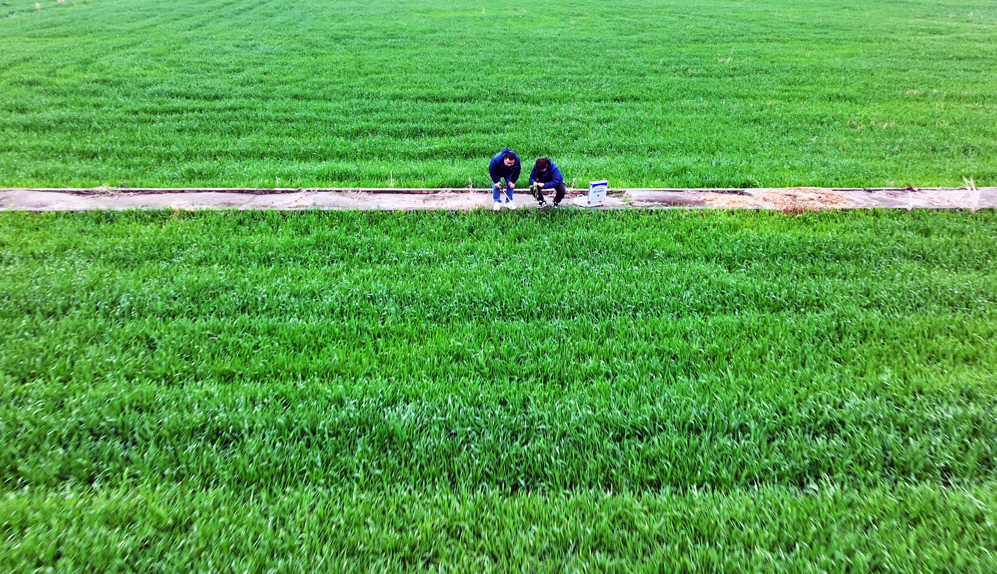 服務春耕：農(nóng)化服務當先鋒添動力