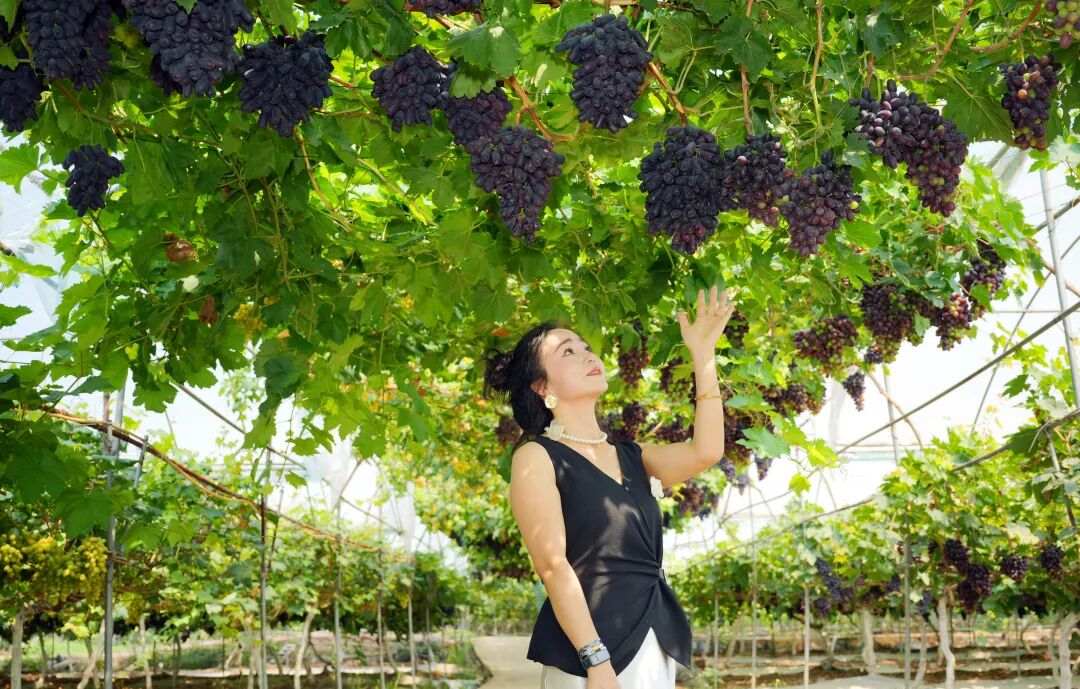 點(diǎn)開豐收密碼   共享豐收喜悅